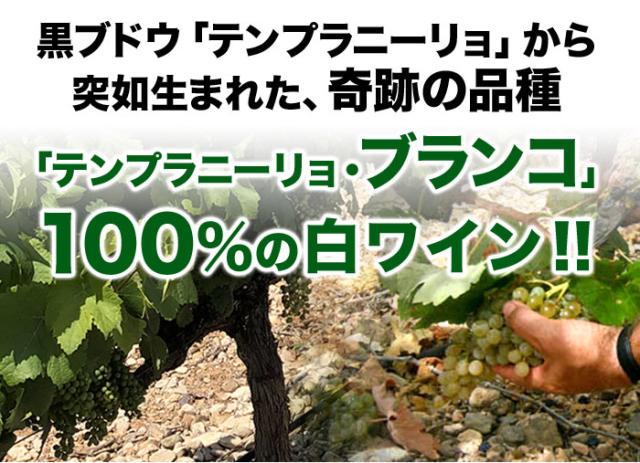 黒ブドウ「テンプラニーリョ」から突如生まれた、奇跡の品種「テンプラニーリョ・ブランコ」100%の白ワイン!!