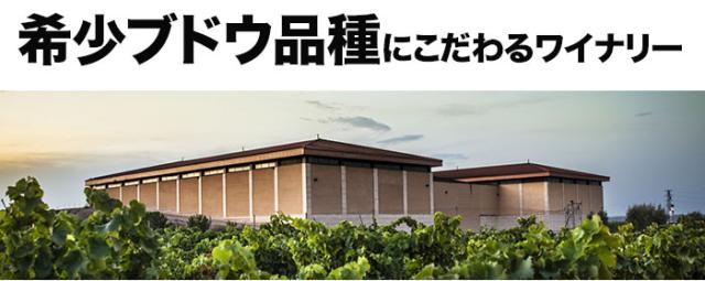 希少ブドウ品種にこだわるワイナリー