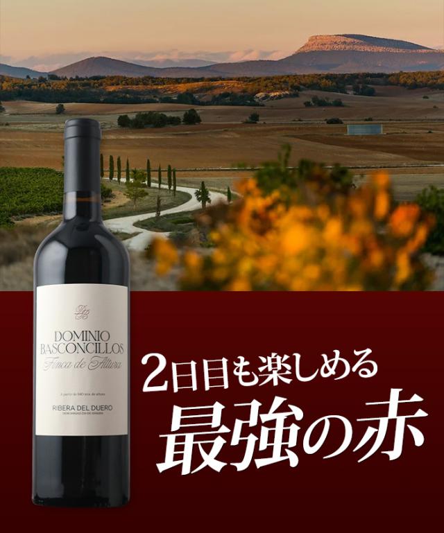 2日目も楽しめる最強の赤