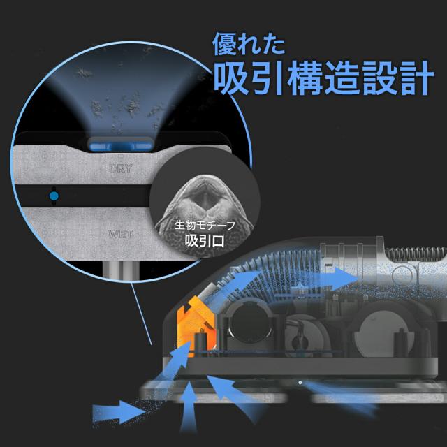 仮画像5