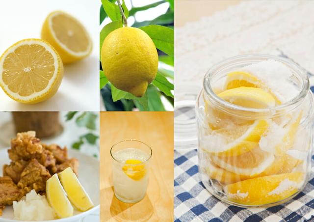 トゲなしレモンとハーブの寄せ植え