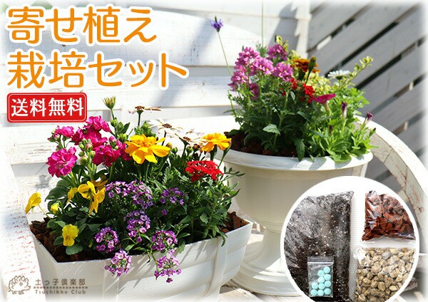 花苗と肥料と土と鉢が付いてこの価格！『 寄せ植え 栽培セット 』【 送料無料 】【 選べる鉢型 】