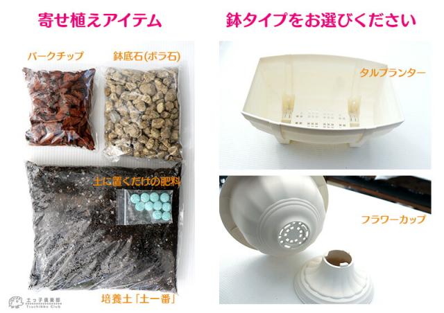 寄せ植え栽培セット