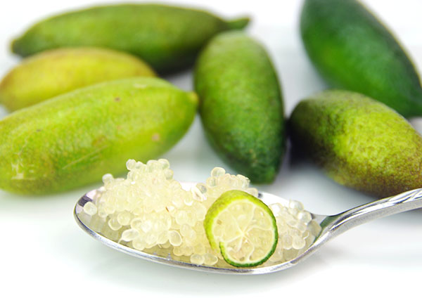 フィンガーライム