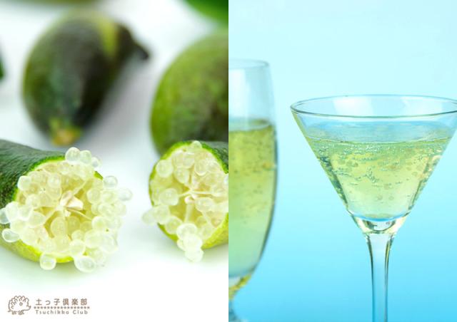 フィンガーライム