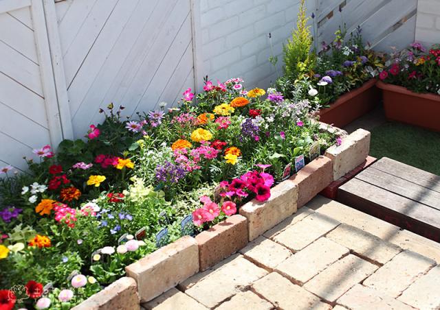 花苗24ポット花壇