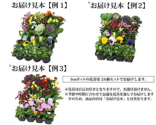 お届け見本
