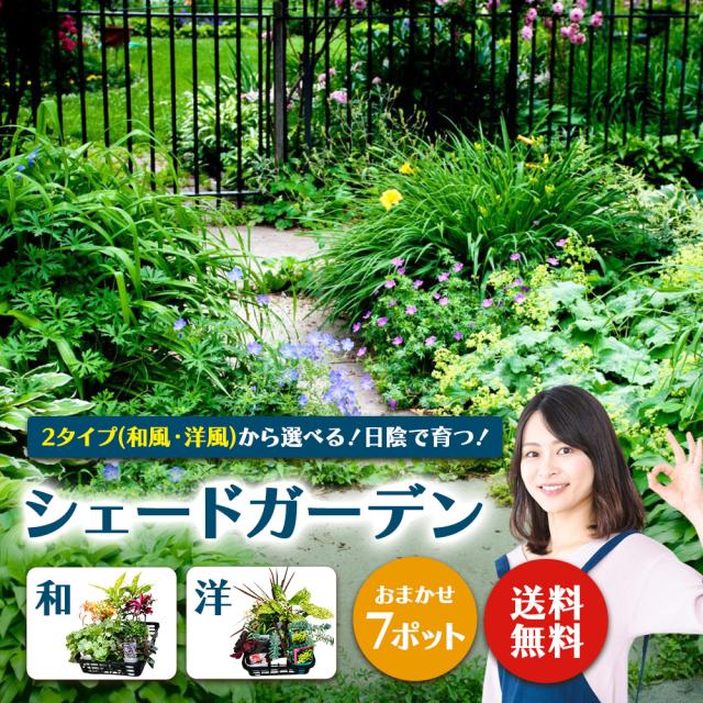 シェードガーデン7ポットセット
