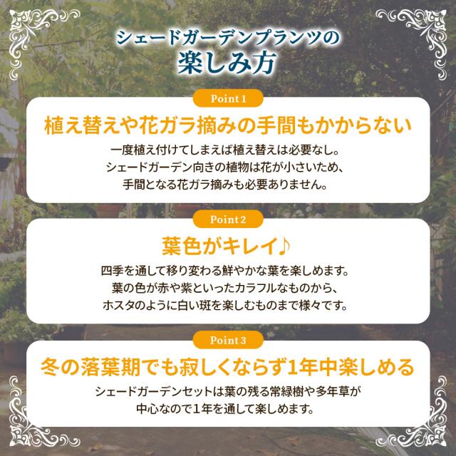 シェードガーデン7ポットセット