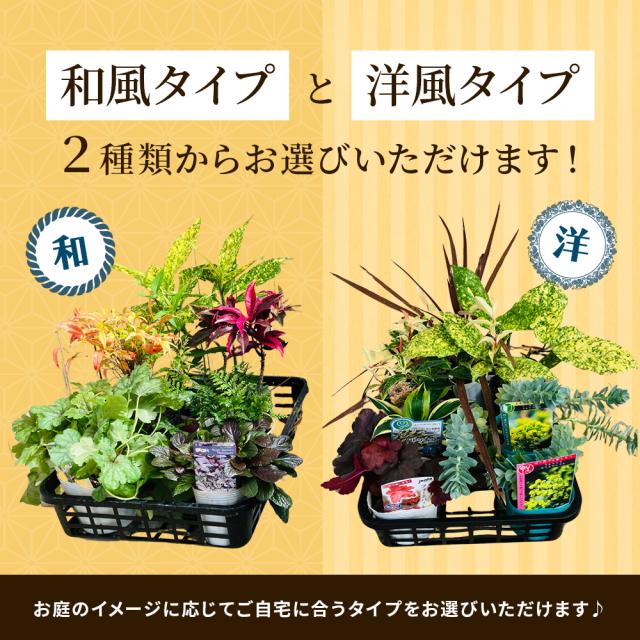 シェードガーデン7ポットセット