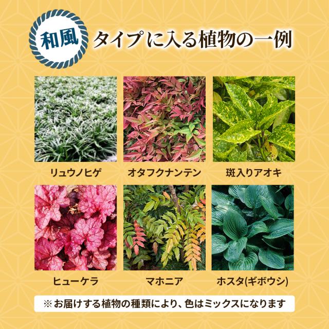 シェードガーデン7ポットセット