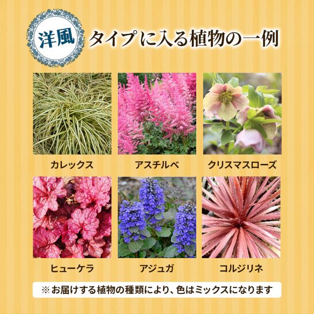 シェードガーデン7ポットセット