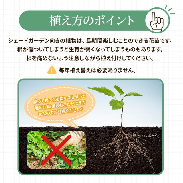 シェードガーデン7ポットセット