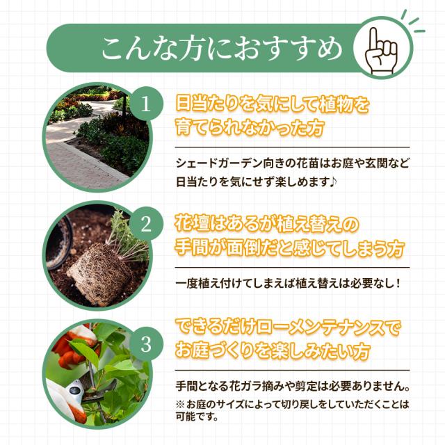 シェードガーデン7ポットセット