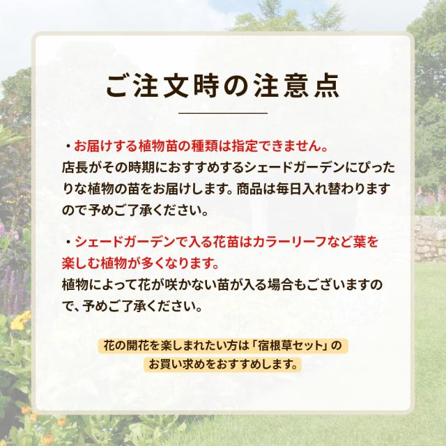 シェードガーデン7ポットセット