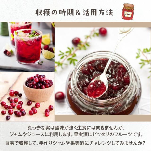 クランベリーハンギング【選べる2色】