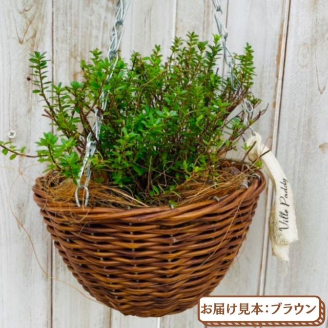 クランベリーハンギング【選べる2色】