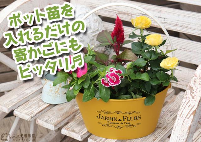 寄せ植え見本