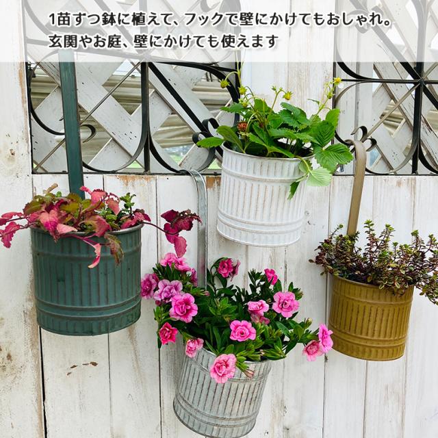 ウェーブハングポット3.5号(選べる4カラー)