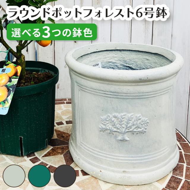ラウンドポット フォレスト6号(選べる3色)