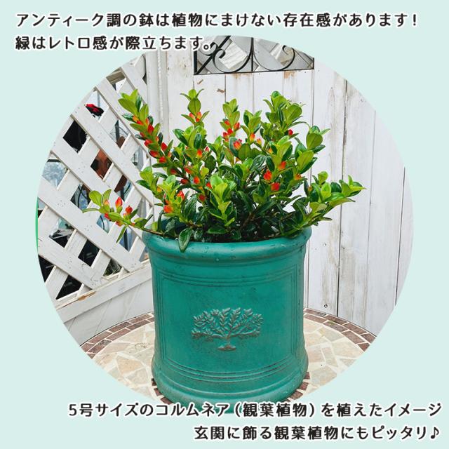 ラウンドポット フォレスト6号(選べる3色)