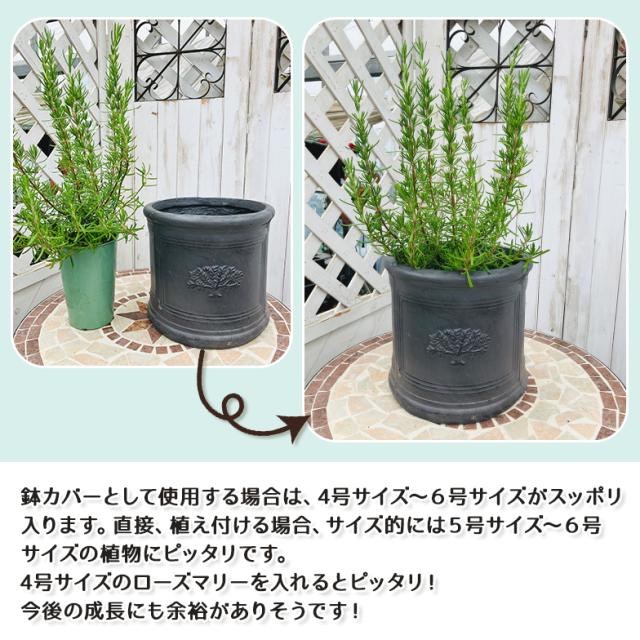 ラウンドポット フォレスト6号(選べる3色)