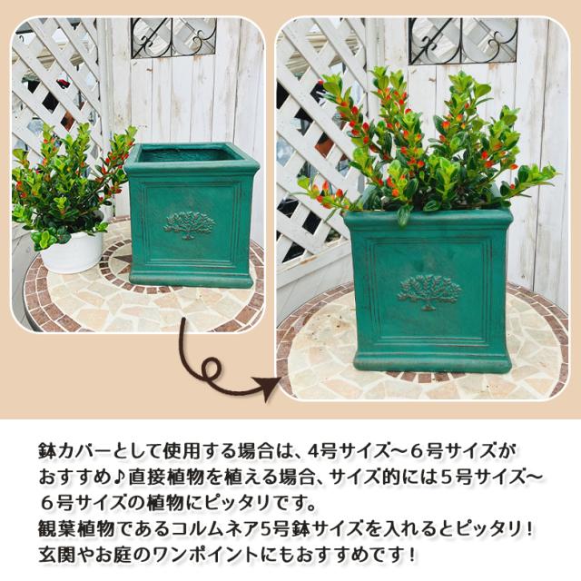 スクエアポット フォレスト6号（選べる3色）