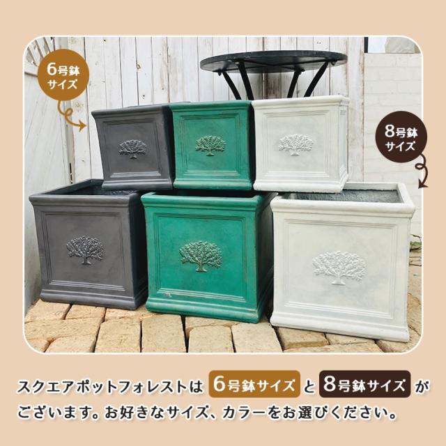 スクエアポット フォレスト6号（選べる3色）