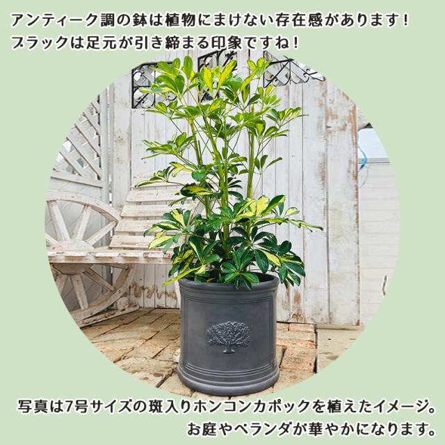 ラウンドポット フォレスト8号（選べる3色）