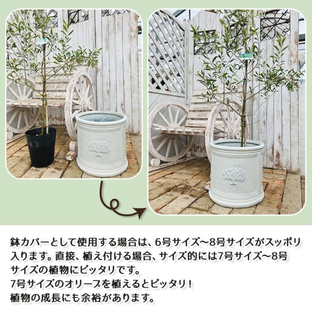 ラウンドポット フォレスト8号（選べる3色）