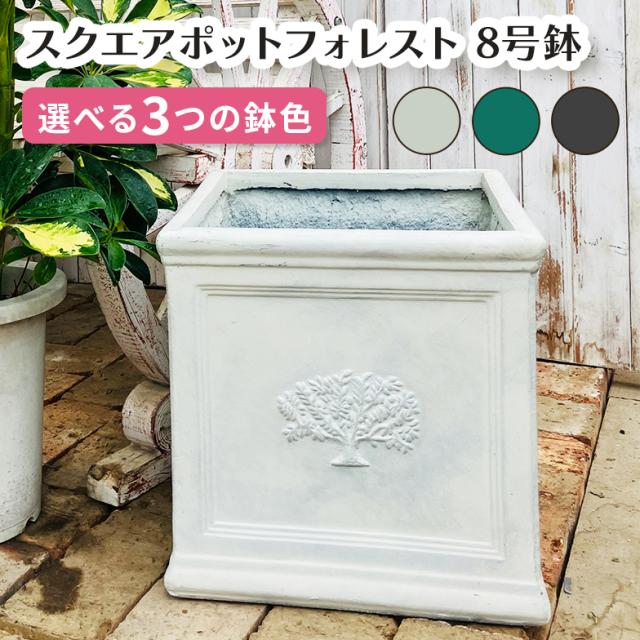 スクエアポット フォレスト8号（選べる3色）