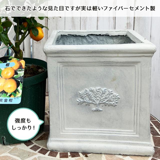 スクエアポット フォレスト8号（選べる3色）