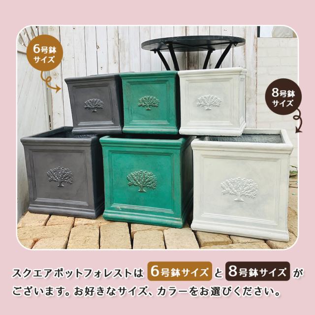 スクエアポット フォレスト8号（選べる3色）