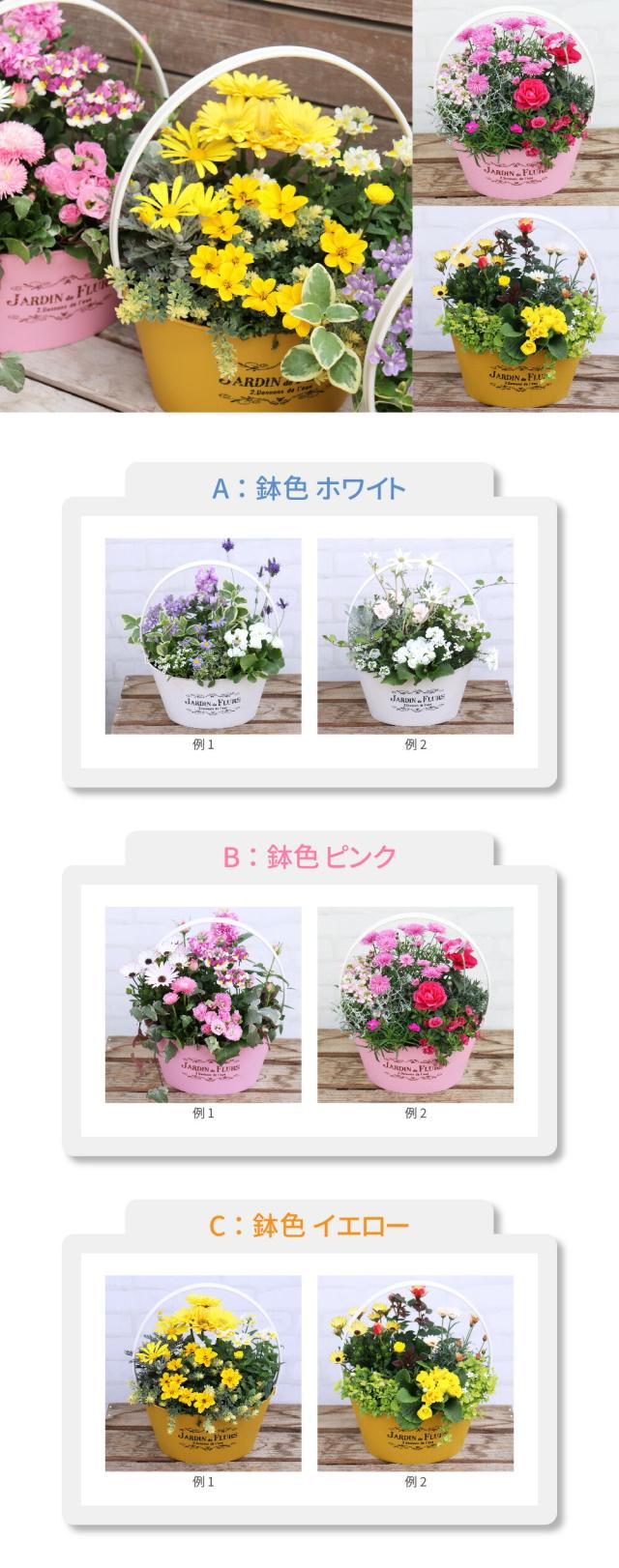 季節の寄せ植え