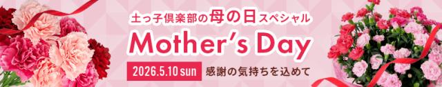 母の日バナー