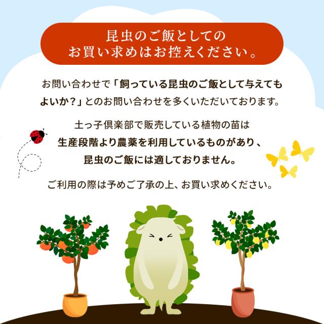 虫の食用には適しません