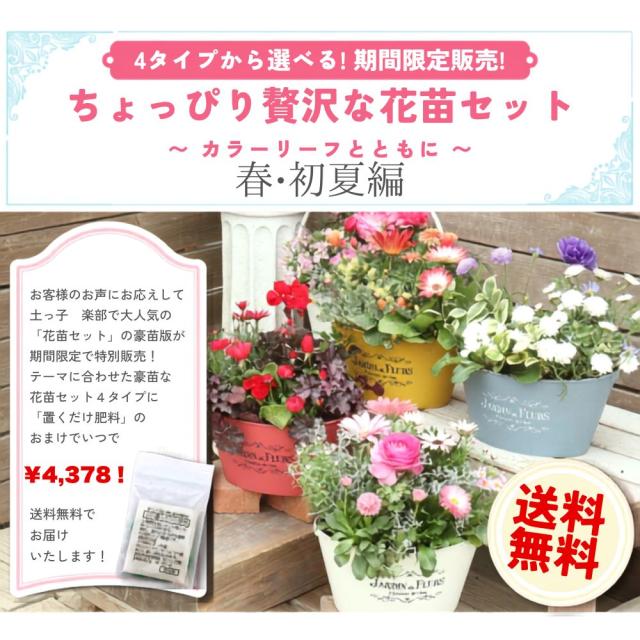 寄せ植え