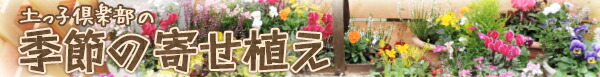 寄せ植え