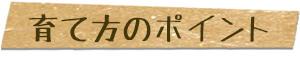 育て方のポイント