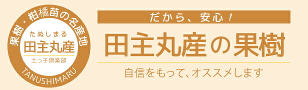 田主丸