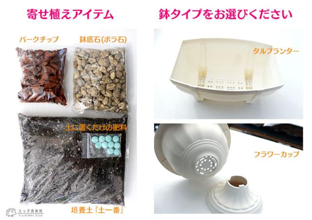 寄せ植え栽培セット