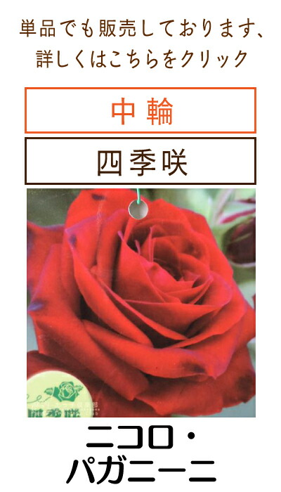 ニコロ・パガニーニ