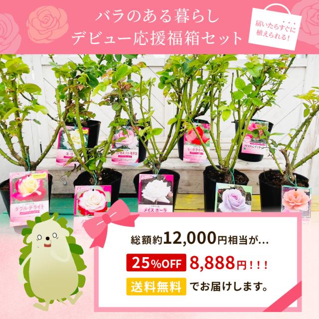 バラの福箱セット