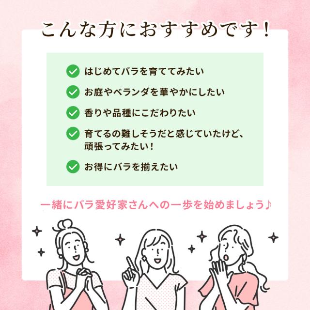 バラの福箱セット