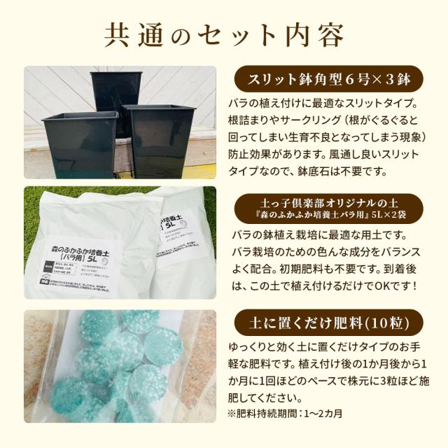 バラの福箱セット