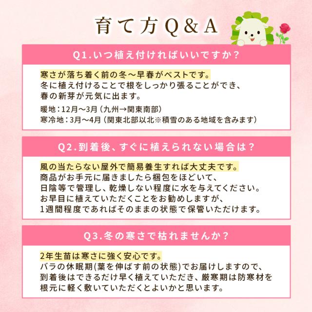 バラの福箱セット