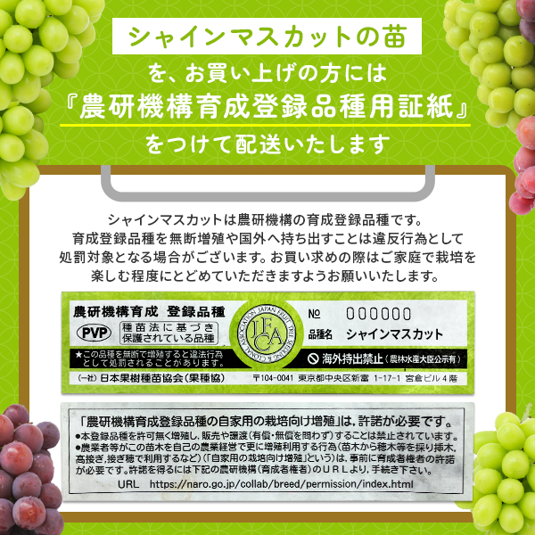 農研機構登録品種