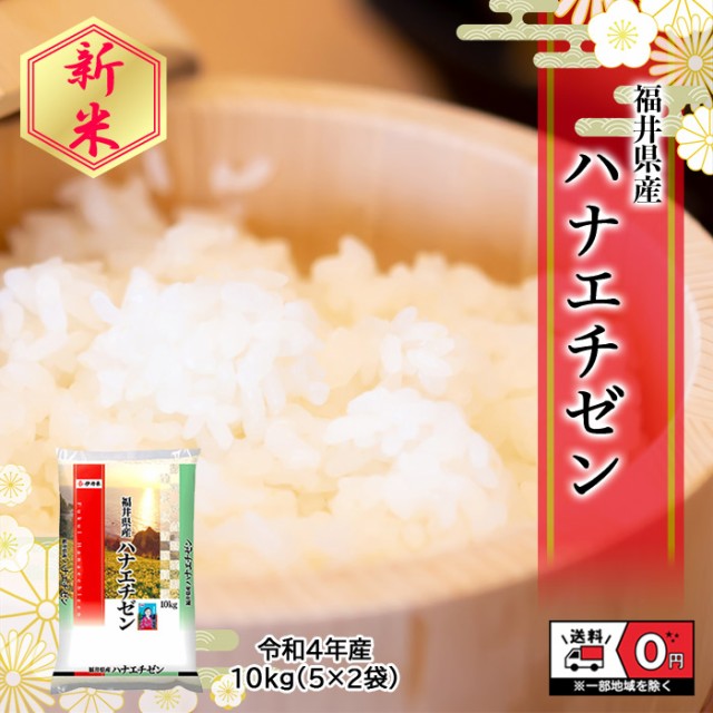 お米 令和4年産 福井県産 ハナエチゼン 5kg×2袋 10kg 米 白米 おこめ