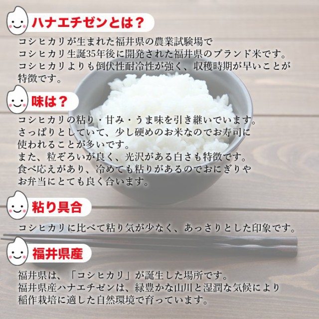 お米 令和4年産 福井県産 ハナエチゼン 5kg×2袋 10kg 米 白米 おこめ