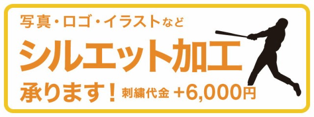 得価人気SALE ミズノ(MIZUNO)BSSショップ限定 ミズノプロ 硬式グラブ 5DNAテクノロジー 1AJGの通販はau PAY マーケット - スポーツコバヤシ|商品ロットナンバー:425397191 得価本物保証